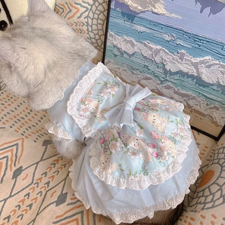 귀여운 레이스 꽃 앞치마 드레스, 핑크 고양이 개 드레 - Lace Teddy Lingerie 리뷰 및 가격